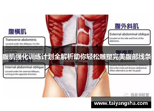 腹肌强化训练计划全解析助你轻松雕塑完美腹部线条